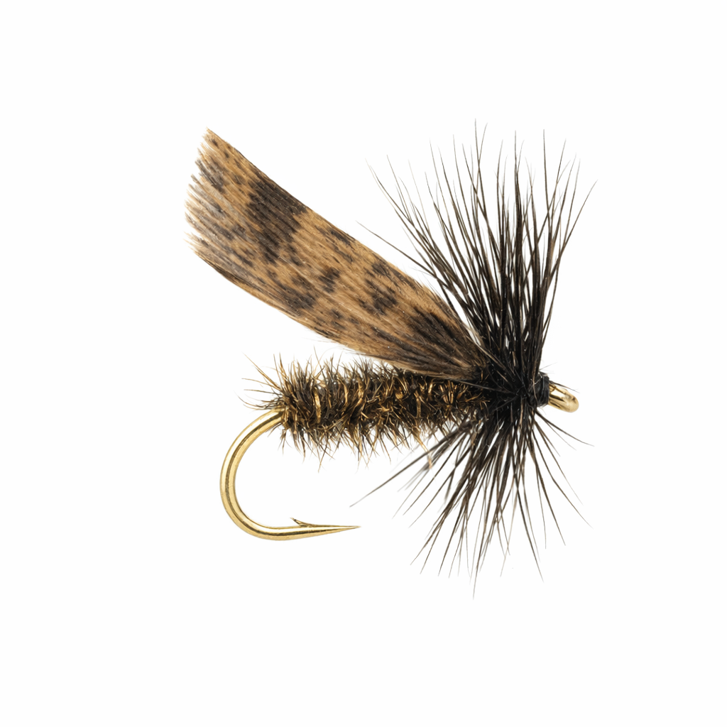Alder Dry Fly - Fly Pattern Recipe & Instructions | Cutty
