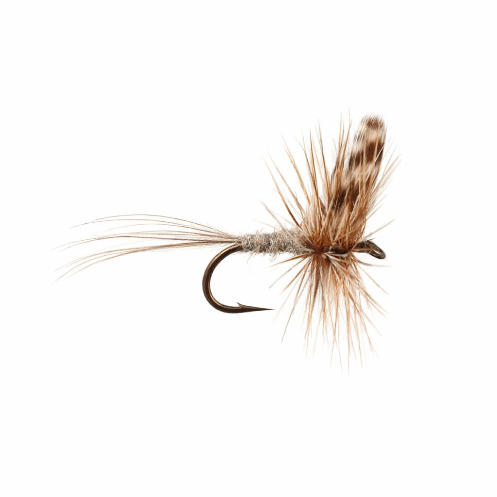 Adams Mayfly Pattern Adams - Fly Pattern Recipe & Instructions | Cutty