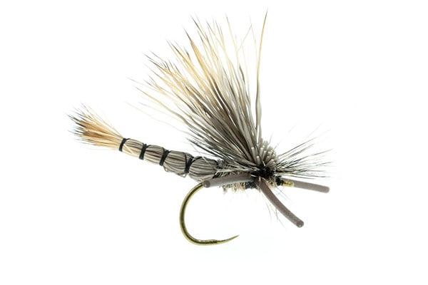 Drake Patterns DJL Drake - Fly Pattern Recipe & Instructions | Cutty