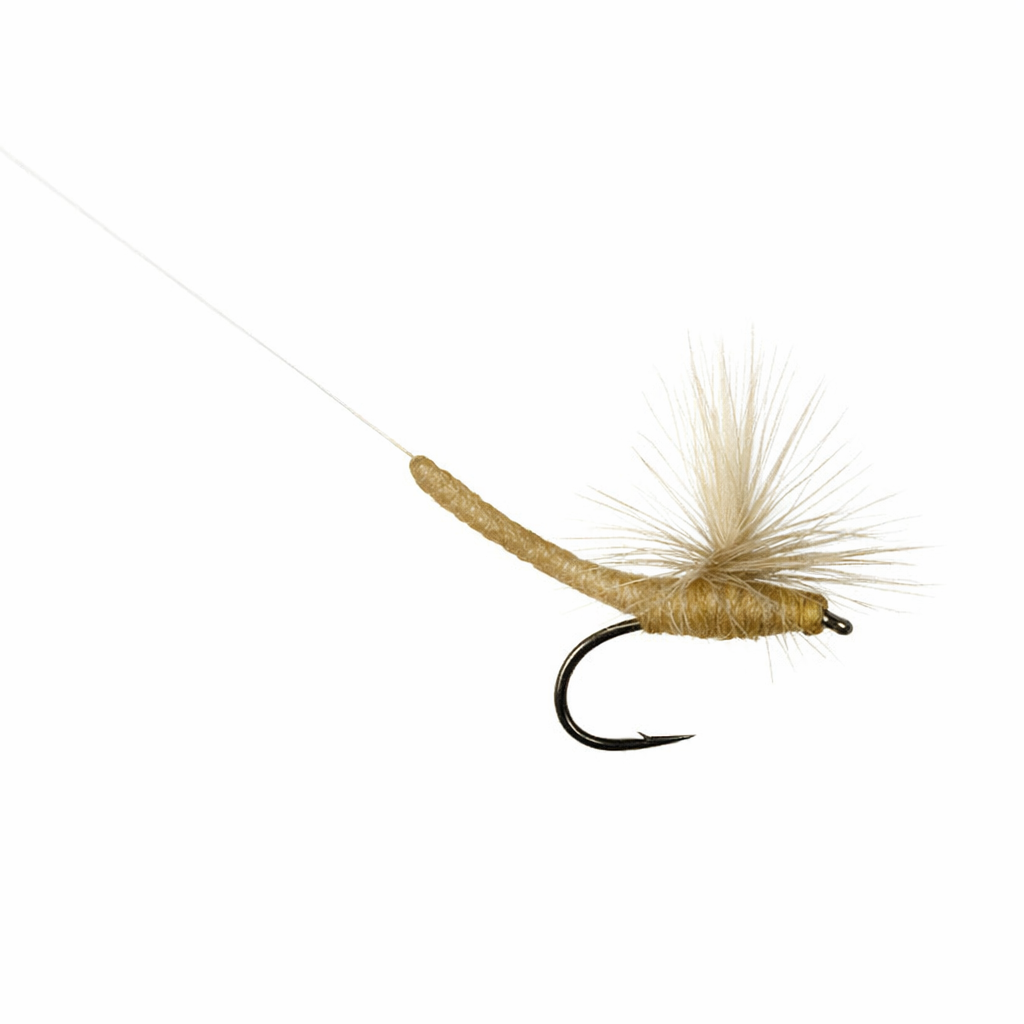 Parachute Extended Body BWO - Fly Pattern Recipe & Instructions | Cutty